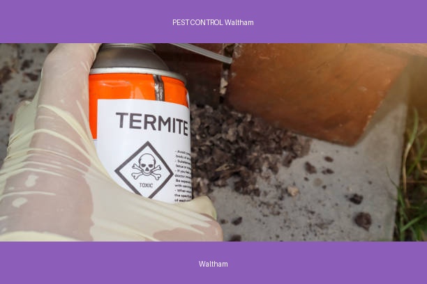 PEST CONTROL Waltham
